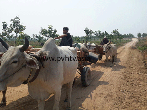 ឈ្មួញរកស៊ីឈើបទល្មើសព្រៃឈើមានឈ្មោះ រិទ្ធ នាយខណ្ឌរដ្ឋបាល ព្រៃឈើ និង មន្ដ្រីបរិស្ថានស្រុកត្រពាំងប្រាសាទនៅពីក្រោយខ្នង