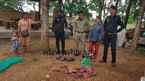 ឃាត់ខ្លួនស្ត្រីម្នាក់រួមនិងសត្វព្រៃ៤ប្រភេទជាង២០គីឡូក្រោមអប់រំរួចដោះលែងវិញ