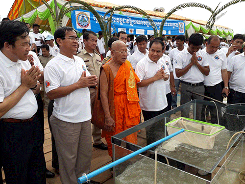 លោកម៉ុម សារឿន អភិបាលនៃគណៈ អភិបាលខេត្តស្ទឹងត្រែង អញ្ចើញចូលរួម  ក្នុងពិធីលែង កូនត្រី៧ម៉ីនក្បាលក្នុង រដូវបិទនេសាទត្រីហើយក៍ជារដូវត្រីកំពង់ពង