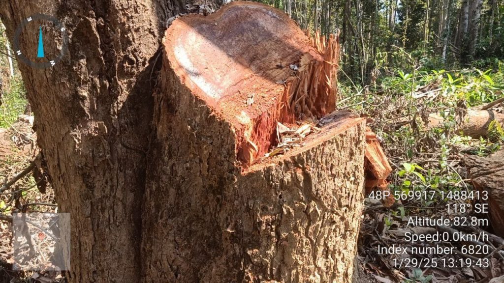 IMG_20250131_212139_912