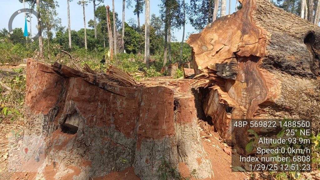 IMG_20250131_212139_993