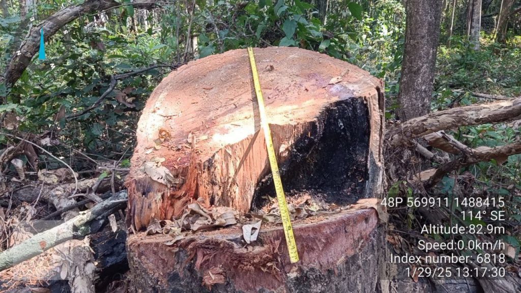 IMG_20250131_212140_400