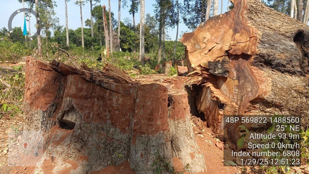 IMG_20250131_212233_179