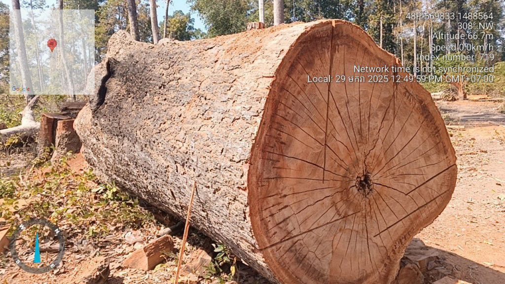 IMG_20250131_212233_317