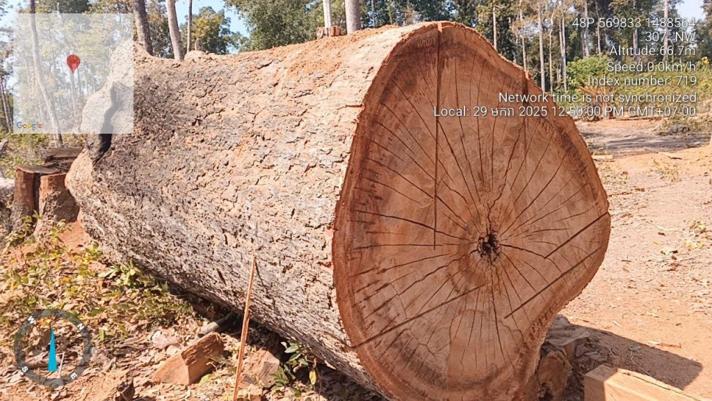 IMG_20250131_212233_451