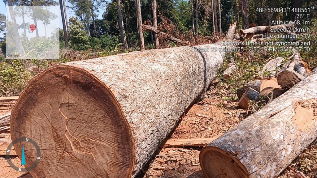 IMG_20250131_212233_796