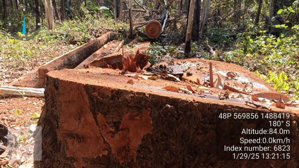 IMG_20250131_212241_212