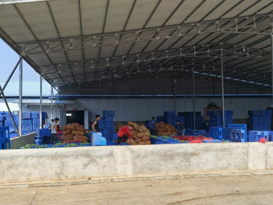 IMG_20250319_125438_913