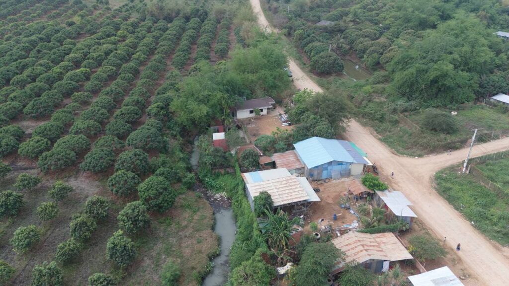 IMG_20250319_125438_948