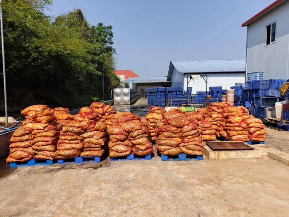 IMG_20250319_125439_154