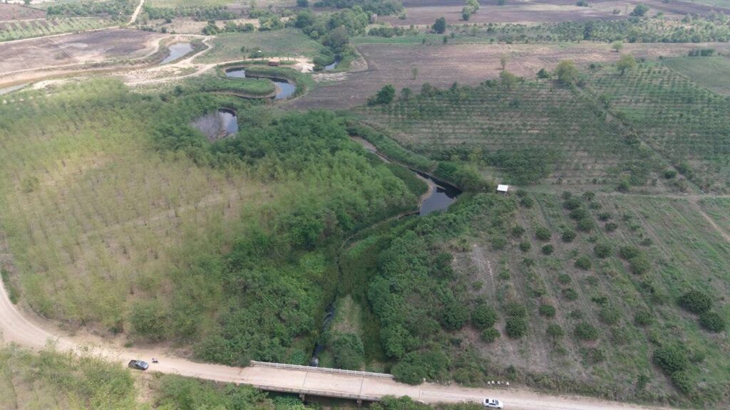 IMG_20250319_125439_183