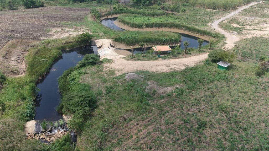 IMG_20250319_125439_334