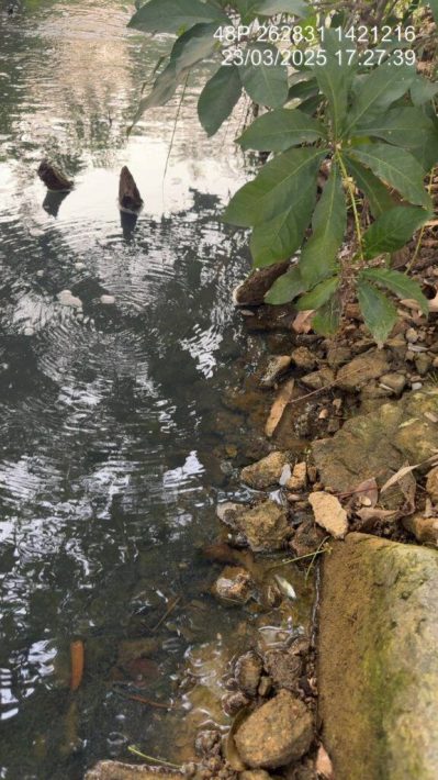 IMG_20250324_133119_573