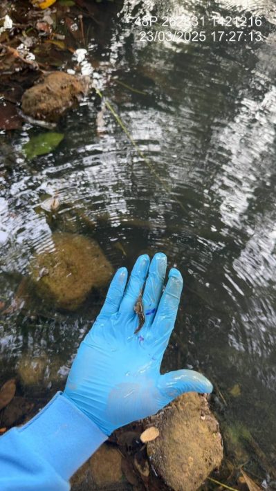 IMG_20250324_133119_642