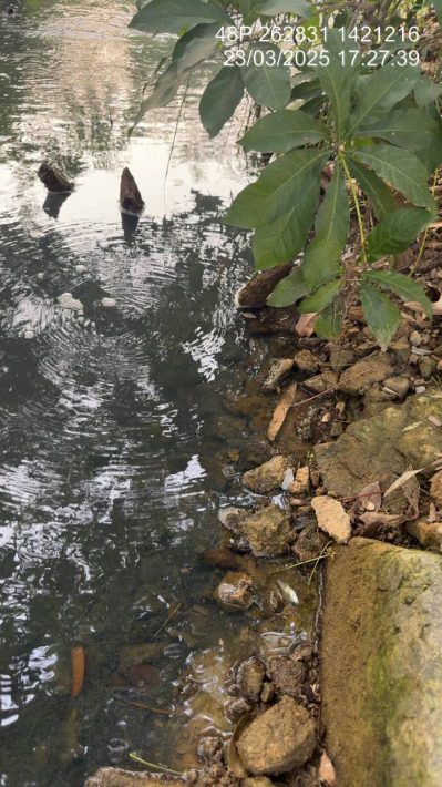 IMG_20250324_133119_827