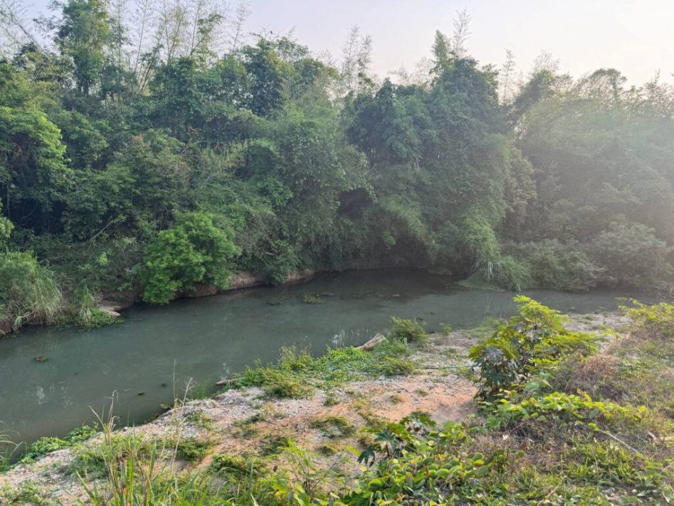 IMG_20250324_133120_147