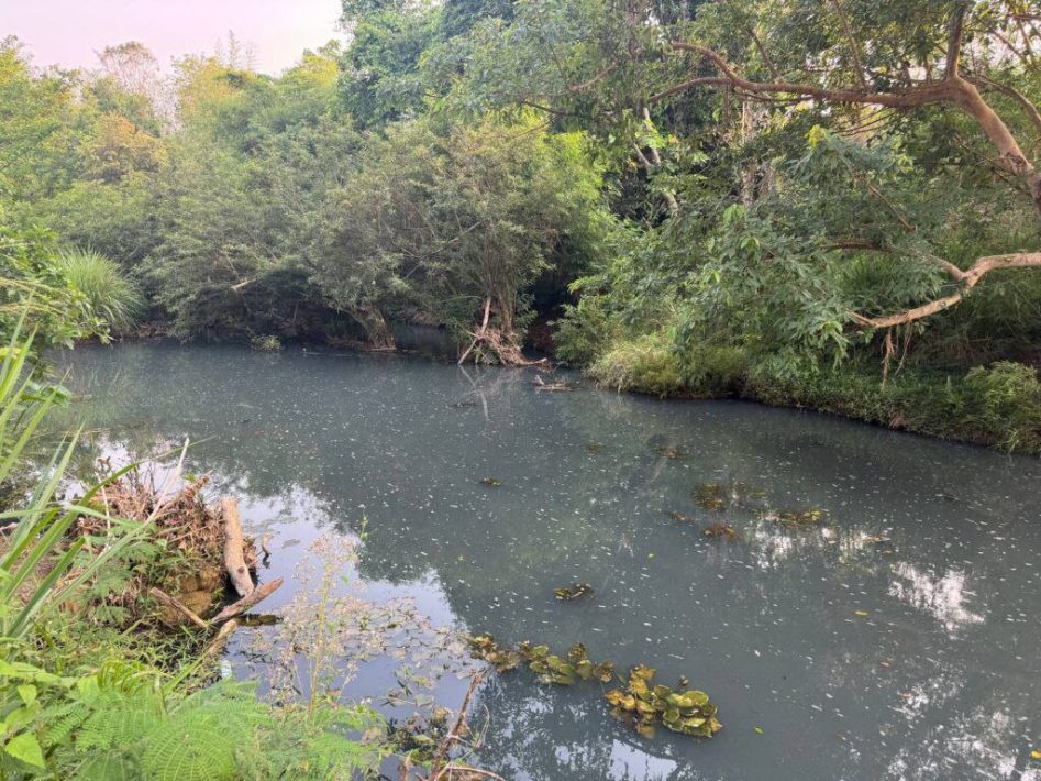 IMG_20250324_133120_208